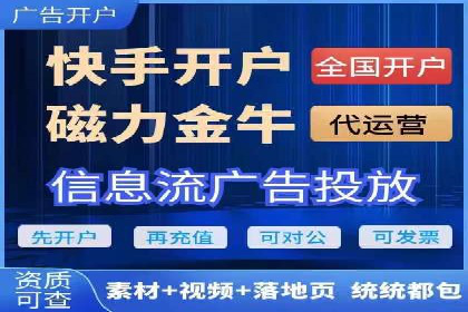 百度品牌专区推广的成效与案例